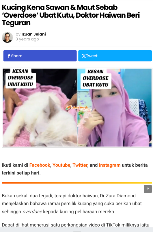 Berita tentang kucing yang kena sawan dan maut akibat terlebih dos ubat kutu